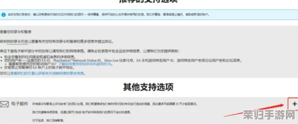 解决Apex申诉邮件发送难题，一键畅通您的反馈之路！