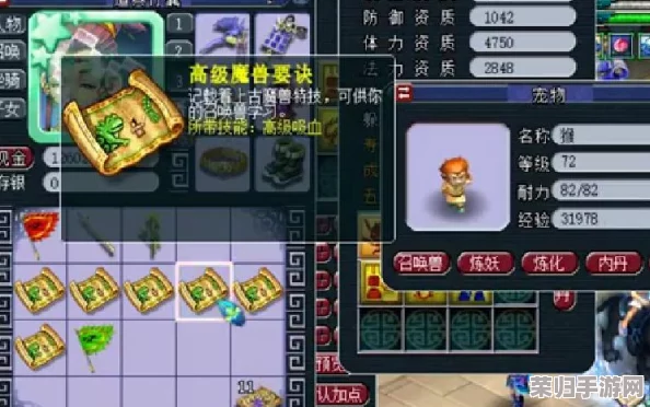 《梦幻西游》从零至九，宝宝修炼全攻略解锁非凡成长之路！