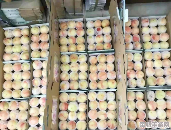 7x7x7x7x7任意槽水蜜桃，口感鲜美，果汁丰富，令人陶醉的夏日美味！