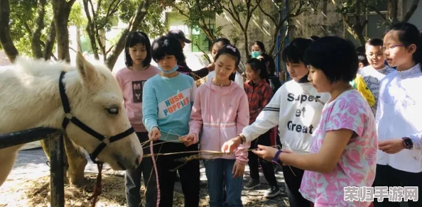 冒险岛斗燃角色：定义、作用与极致游戏体验探索！