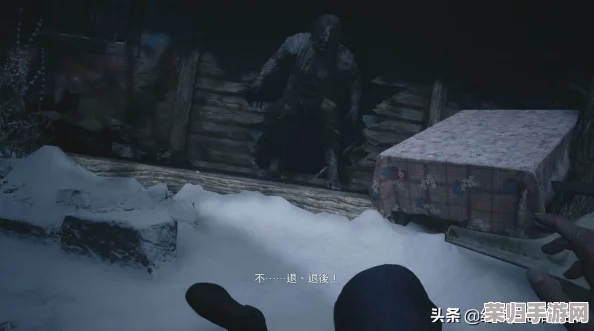 生化危机8：深度攻略秘籍，全章节村庄探险宝典！