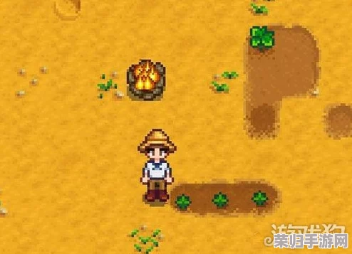 星露谷物语：高效获取稀有布料的秘诀与技巧！