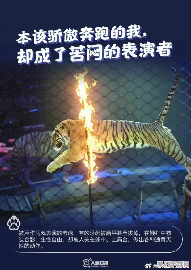 理解免费四影虎影ww4h4hu的深层含义与背后故事，带你走进这个神秘世界