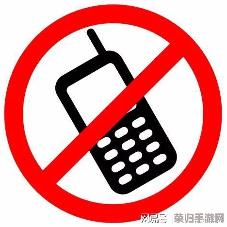 夜晚的100款禁止使用软件：网友评价看法各异，值得一读的使用感受与建议分析