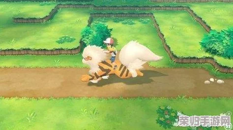 《精灵宝可梦Let's Go》烈雀全配招策略与进化图鉴深度解析，打造最强飞行小队！