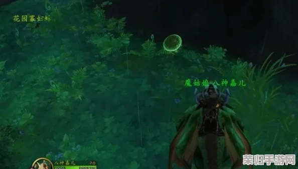 魔兽世界：视灵药剂的终极完成攻略与技巧详解！