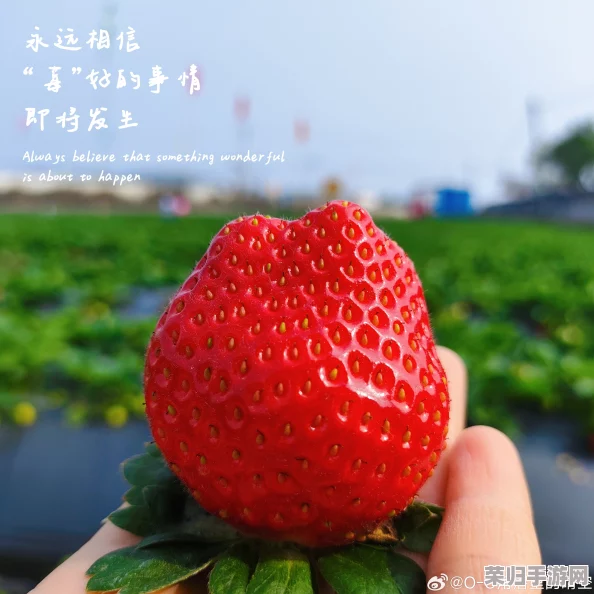 草莓视频懂你更多，用户称其为“观看体验绝佳，内容丰富多彩，让人爱不释手”