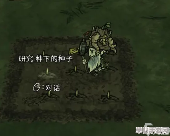 饥荒世界：巨型植物的高效种植技巧与策略