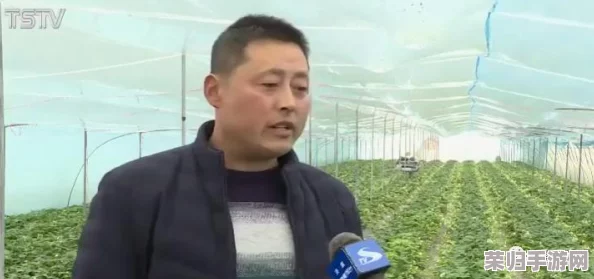 草莓视频带你用另眼看不同的世界，感受多元视角下的生活与文化之美