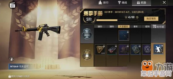 深度剖析和平精英：制胜策略与高手进阶攻略大全