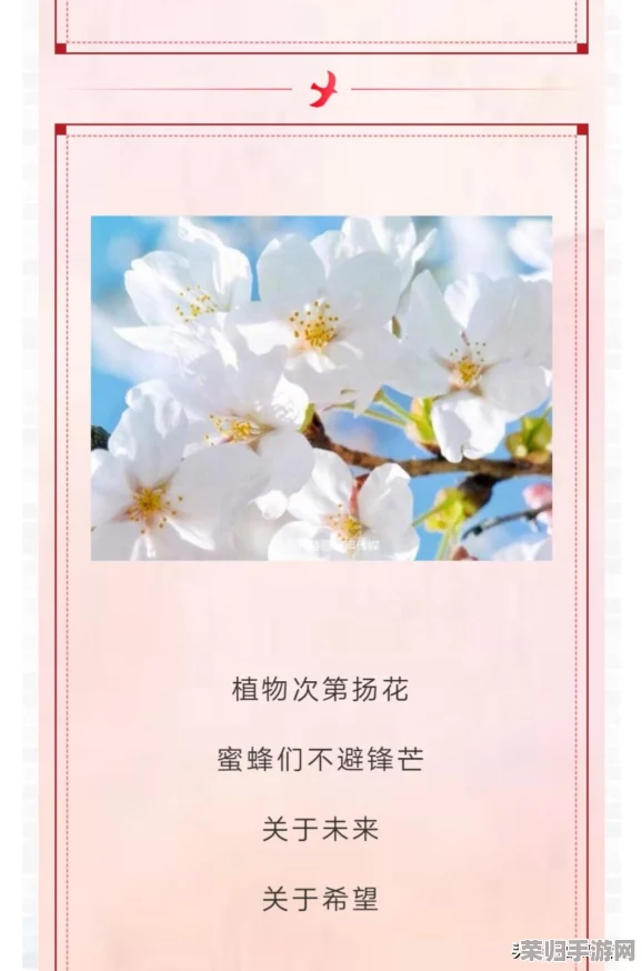 色五五月：网友们热议这一盛典，纷纷表示其独特魅力让人沉醉于色彩的海洋之中