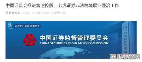 免费雷电将军乳液VX网站，用户评价称其效果显著，值得一试！