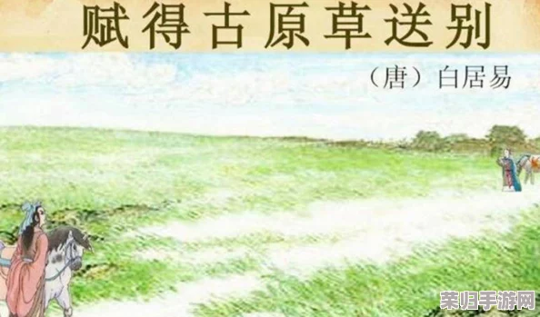 老扒草红法蓉最经典的一句：深刻理解其背后蕴含的情感与哲理之美