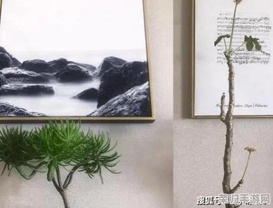 老扒草红法蓉最经典的一句:深刻理解其背后蕴含的情感与哲理之美 老扒草红法蓉最经典的一句:深刻理解其背后蕴含的情感与哲理之美