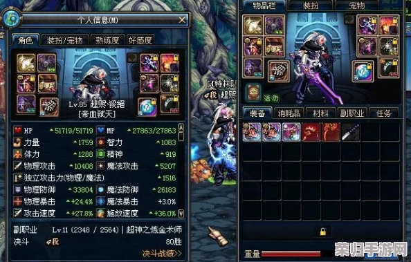 DNF100级深渊：珍稀装备与神秘物品全览，探险者必备指南！