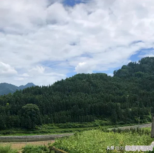 怪物猎人世界：详尽联机组队攻略，解锁多人狩猎新篇章！