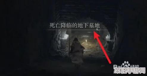 掌握艾尔登法环：双持武器精准格挡与反击的艺术