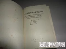 理解肥熟五十六路BBW的深层含义与文化背景，探讨其在当代社会中的影响力与表现形式