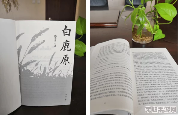 理解肥熟五十六路BBW的深层含义与文化背景，探讨其在当代社会中的影响力与表现形式