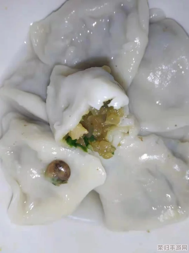 用户评价：这段视频简直太实用了！梁教授要稳住肉馅小水饺视频，让我学会了做美味水饺！