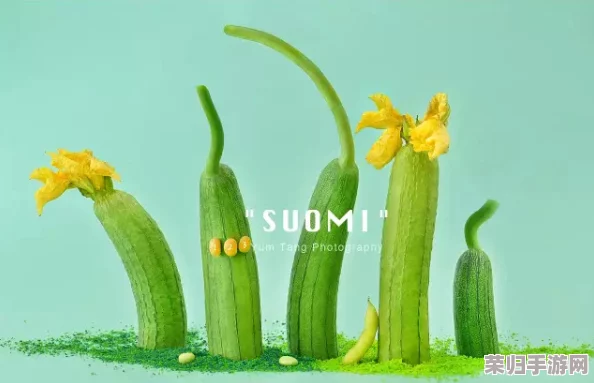 草莓丝瓜视频：网友热议其创意十足，画面唯美，引发广泛讨论与好评！