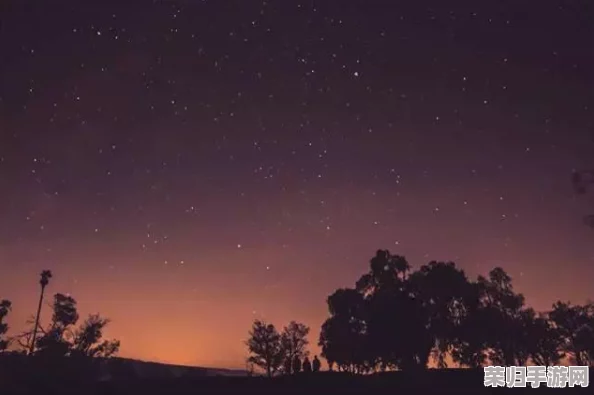 星空无限传媒回家过年：在温暖的团聚中感受家的力量与归属感
