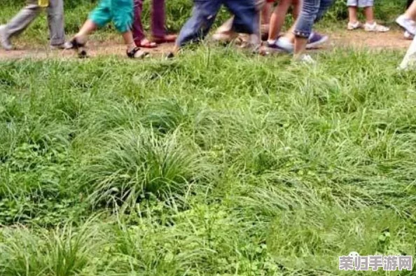 小草神吃旅行者极霸：网友热议其奇特风格与让人捧腹的搞笑情节，引发全民讨论！