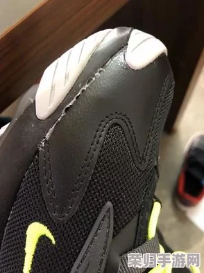 网友热议：Zoom与牛性胶ZOOm的不同体验，从功能表现到使用效果的真实评价汇总