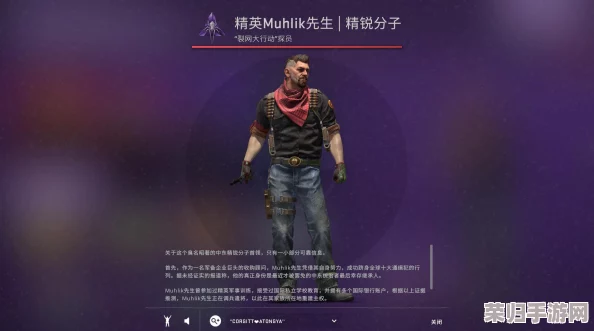 CSGO探员获取秘籍：全方位攻略教你轻松入手稀有角色！