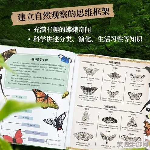蝴蝶传禖4.17：探寻自然奥秘，解读生命密码
