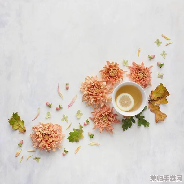 理解歪歪韩漫sss的魅力与特色，带你走进这个独特的漫画世界