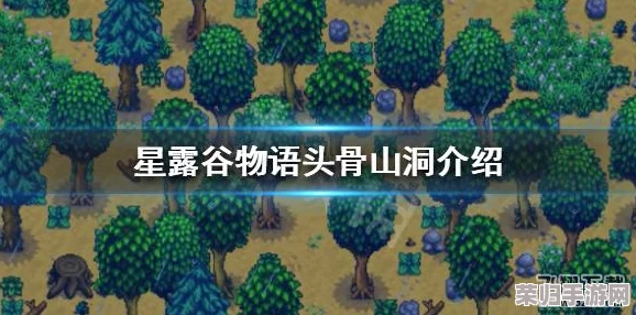 星露谷物语中头骨钥匙的非凡用途与探索秘境之旅