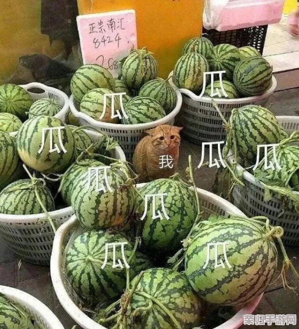 暗黑吃瓜爆料：网友热评“真相竟如此惊人，没想到会有这样的内幕！”