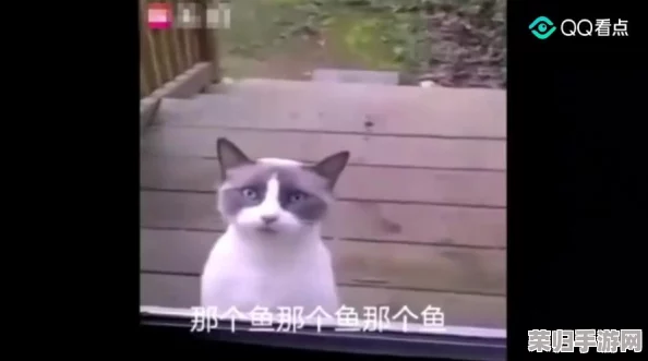 猫娘拔萝卜发出的声音：网友热议“萌化了，竟然有这么好听的声音！”