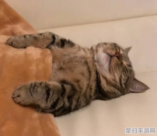 猫娘拔萝卜发出的声音：网友热议“萌化了，竟然有这么好听的声音！”