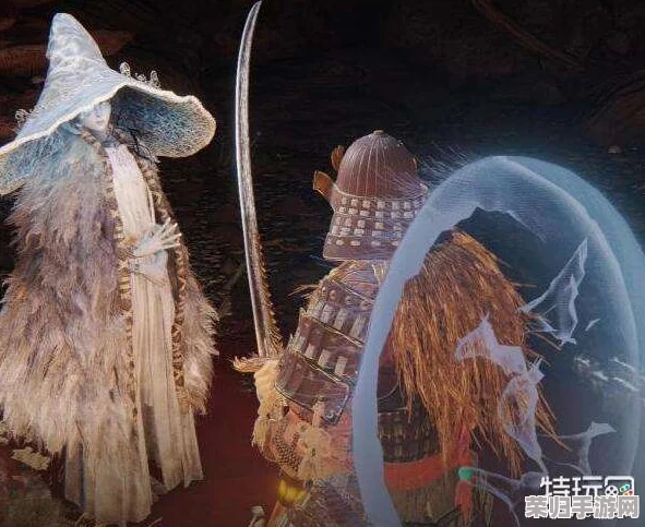 探索奇幻之旅：菈妮支线任务全流程深度与攻略指南
