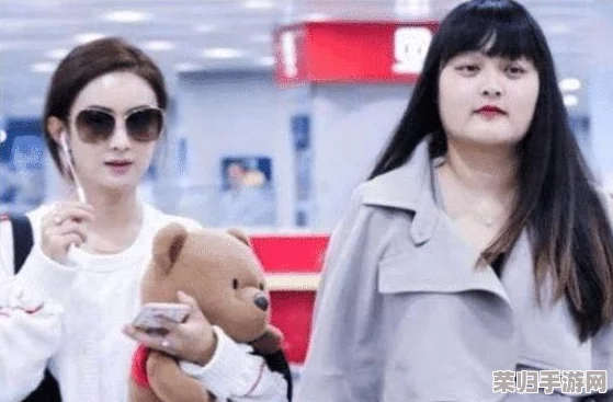 王晴公交车：网友热议服务质量与时刻表准时性，让我们一起来看看大家的真实声音！
