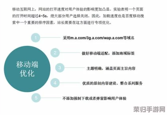 8008站长统计网站统计：用户评价与见解完美融合，提升网站数据分析的全面性与精准度
