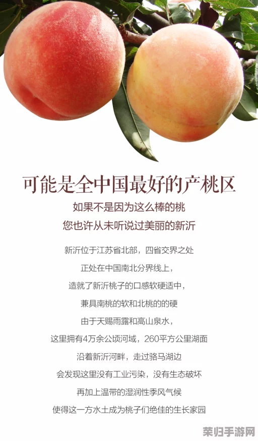 蜜桃产品一二三产区的深度理解与市场潜力分析