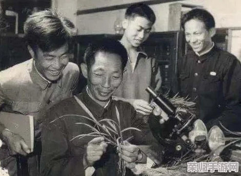 疯狂农场3美国派78：深入理解这款游戏的独特魅力与玩法创新