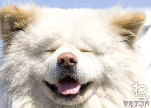 老周陈琳公交车:一段令人感动的乡村义务接送故事 老周陈琳公交车:一段令人感动的乡村义务接送故事