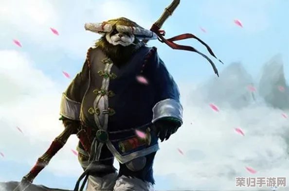 探索乌龟服：是否存在神秘武僧角色？