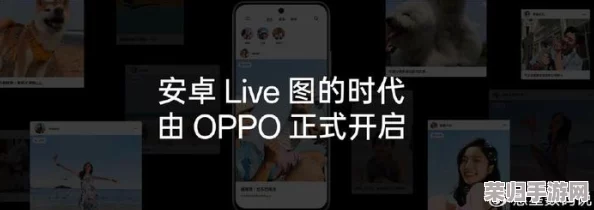17c一起草+ 国产，畅享高品质生活的必备选择与时尚潮流的完美结合