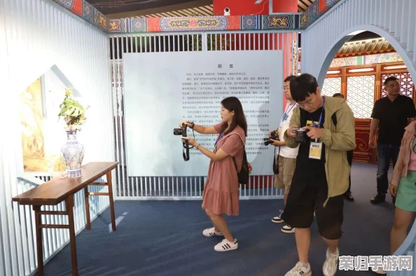 鲁大师在线直播视频免费，深入理解其功能与使用技巧，让你轻松掌握直播精髓！