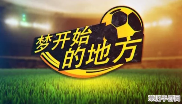理解chinese超帅大一体育生的魅力与努力，展现青春活力与拼搏精神的完美结合