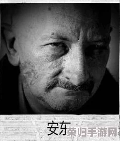 《我的战争》深度：数学家安东的终极命运与全结局概览