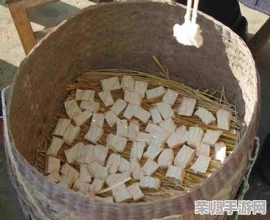 瑟瑟屋：用户评价揭示了它的独特魅力与温馨氛围，深受大家喜爱！