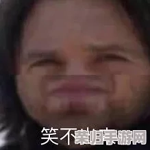BBwBBw撒尿大BBw：简直是搞笑无极限，观众们笑到肚子疼的超赞作品！