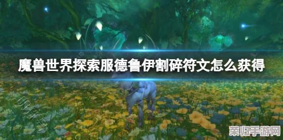 探索魔兽世界乌龟服：神像隐藏位置，解锁神秘宝藏之旅！
