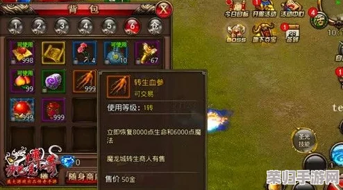 深度解析轩辕剑3：全攻略秘籍大放送，征服古域必备指南！
